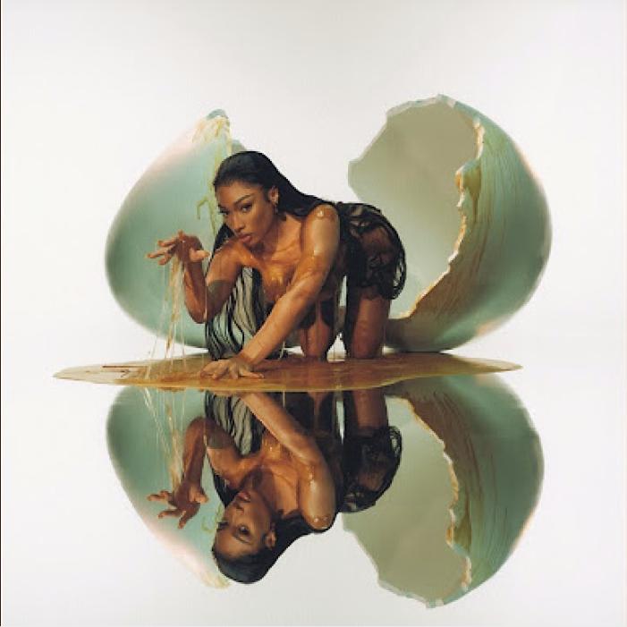 megan thee stallion.png